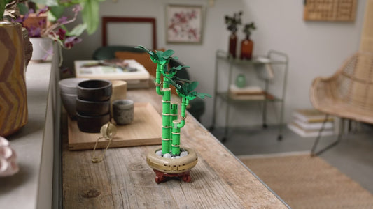 LEGO Botanicals Lucky Bamboo (10344) I Build & Display